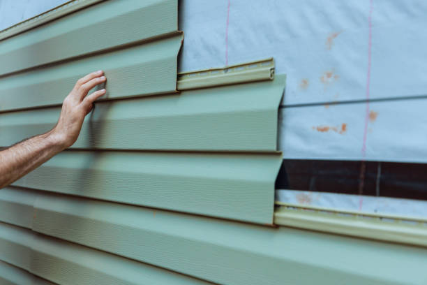 Best Vinyl Siding Installation  in Wabasso Beach, FL